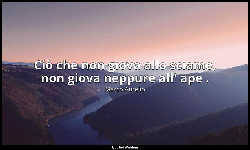 Ciò che non giova allo sciame, non giova neppure all' ape . — Marco Aurelio
