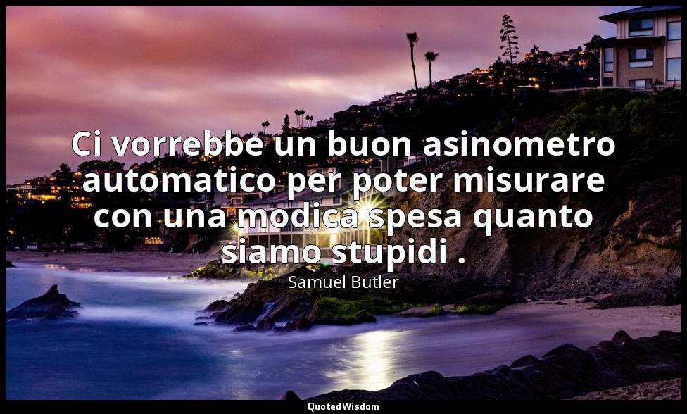 Ci vorrebbe un buon asinometro automatico per poter misurare con una modica spes — Samuel Butler