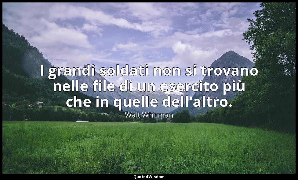 I grandi soldati non si trovano nelle file di un esercito più che in quelle dell — Walt Whitman