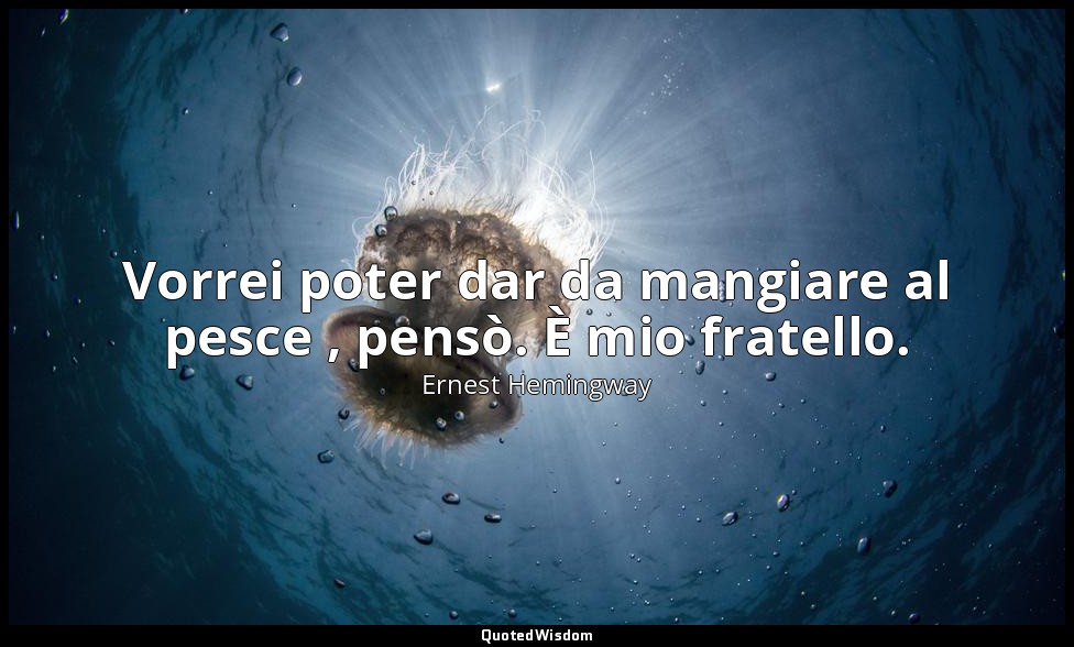 Vorrei poter dar da mangiare al pesce , pensò. È mio fratello. — Ernest Hemingway