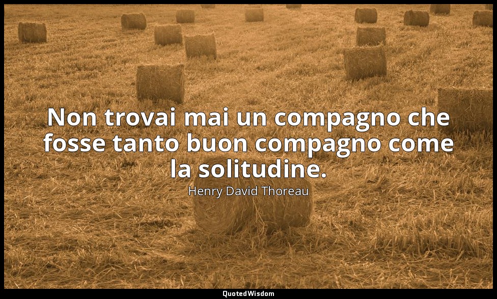 Non trovai mai un compagno che fosse tanto buon compagno come la solitudine. — Henry David Thoreau