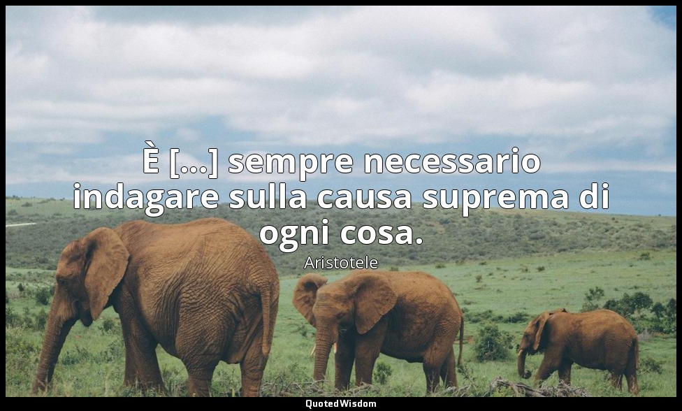 È [...] sempre necessario indagare sulla causa suprema di ogni cosa. — Aristotele