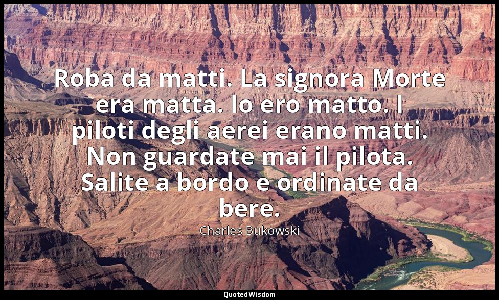 Roba da matti. La signora Morte era matta. Io ero matto. I piloti degli aerei er — Charles Bukowski