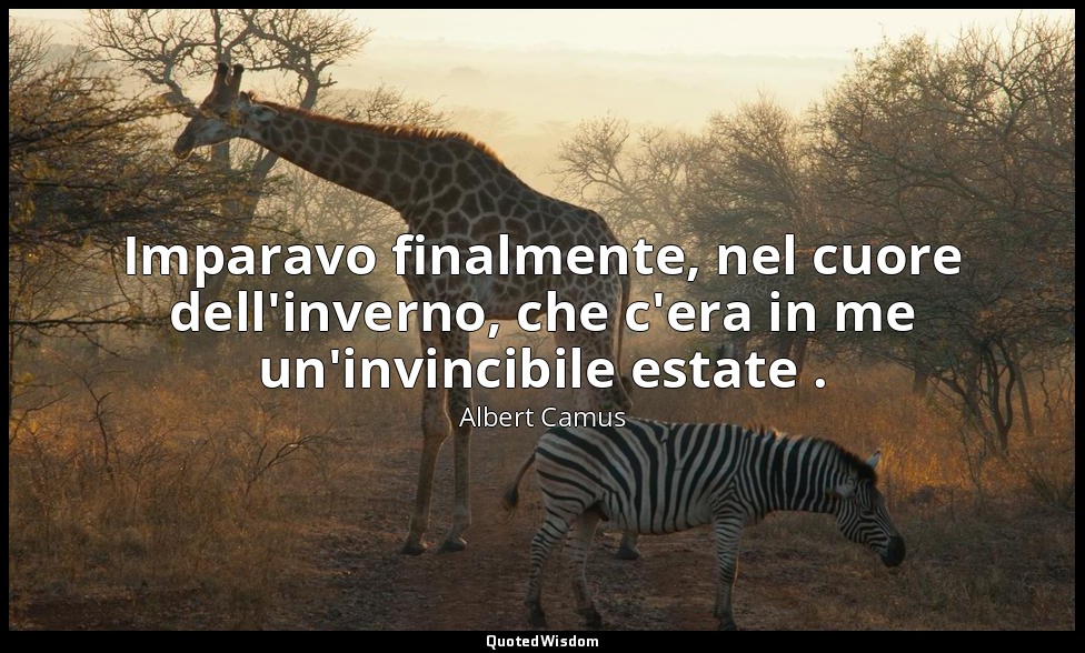 Imparavo finalmente, nel cuore dell'inverno, che c'era in me un'invincibile esta — Albert Camus