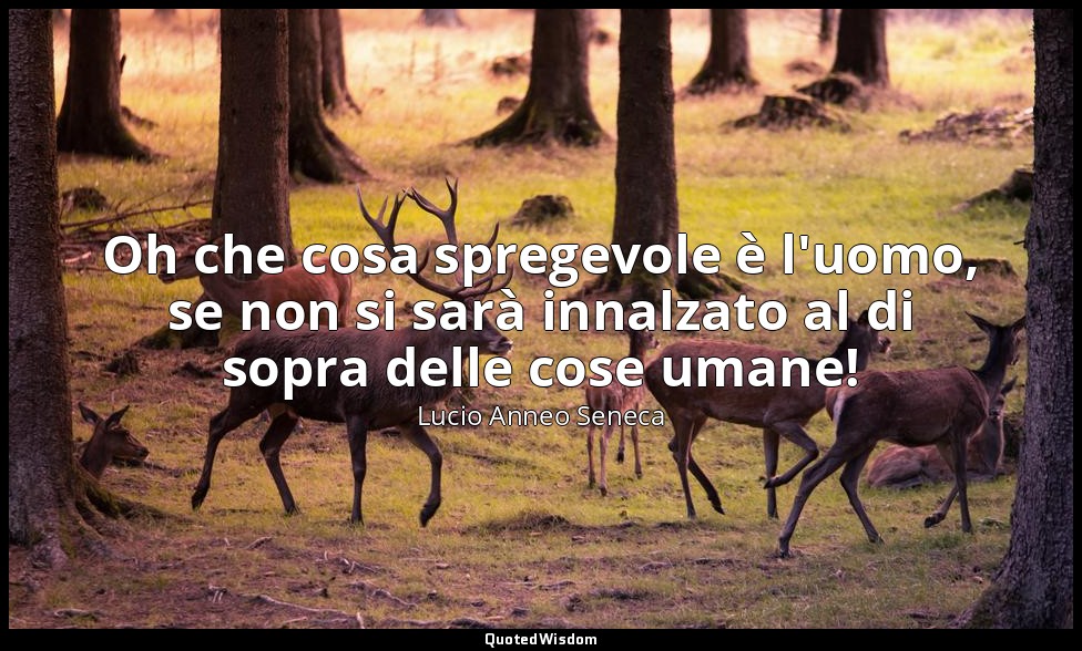 Oh che cosa spregevole è l'uomo, se non si sarà innalzato al di sopra delle cose — Lucio Anneo Seneca