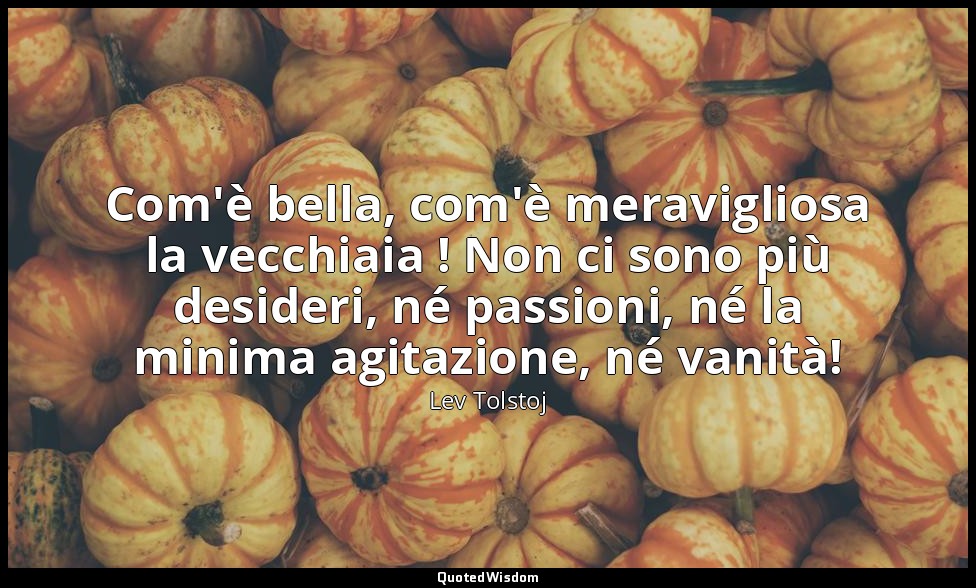 Com'è bella, com'è meravigliosa la vecchiaia ! Non ci sono più desideri, né pass — Lev Tolstoj