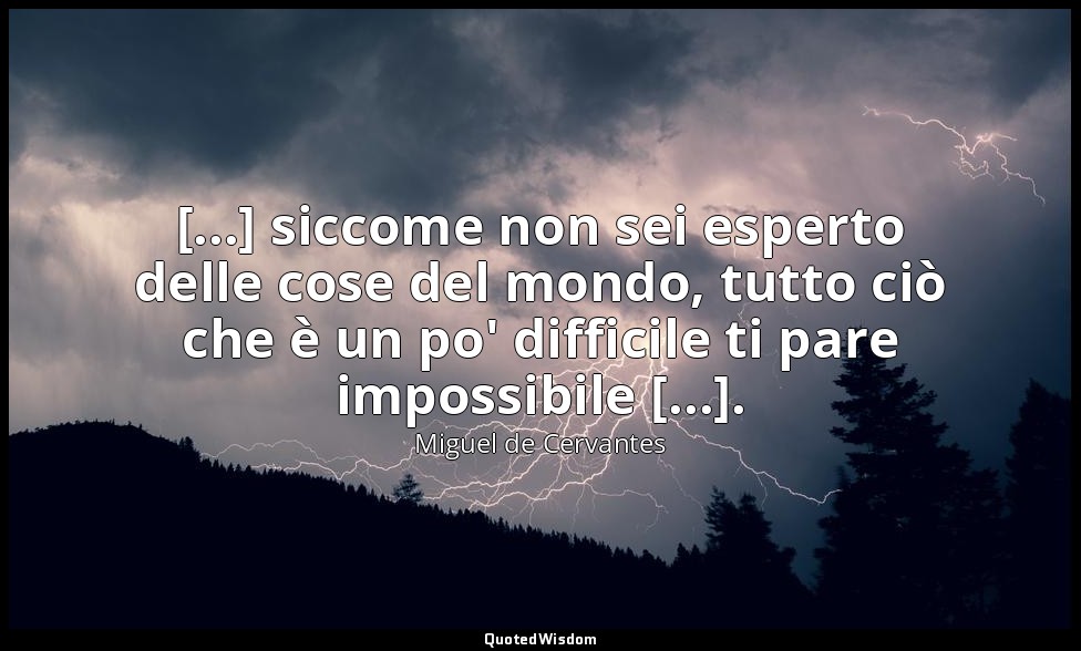 [...] siccome non sei esperto delle cose del mondo, tutto ciò che è un po' diffi — Miguel de Cervantes