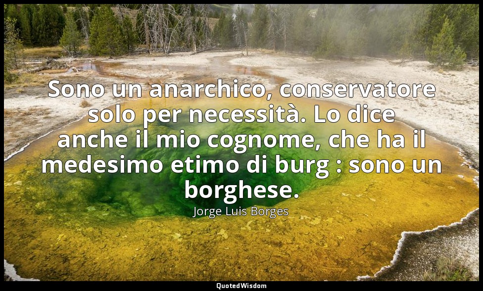 Sono un anarchico, conservatore solo per necessità. Lo dice anche il mio cognome — Jorge Luis Borges