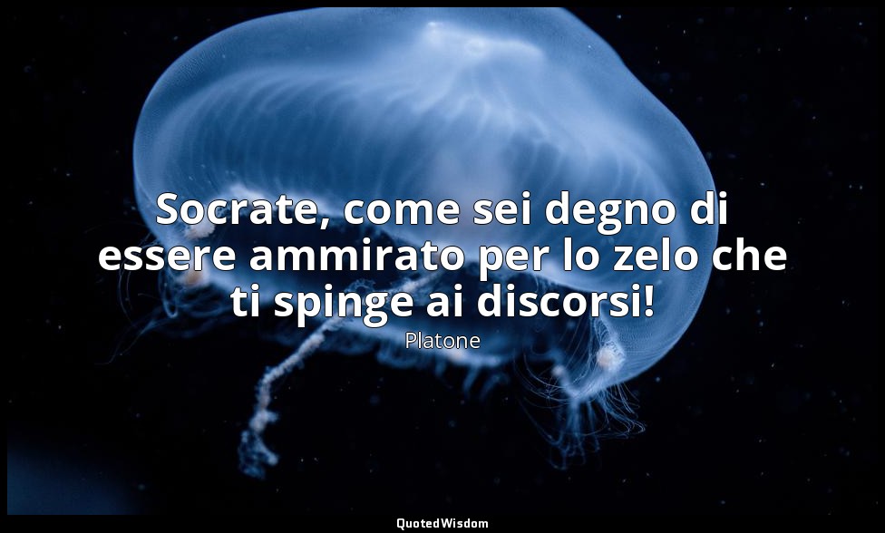 Socrate, come sei degno di essere ammirato per lo zelo che ti spinge ai discorsi — Platone