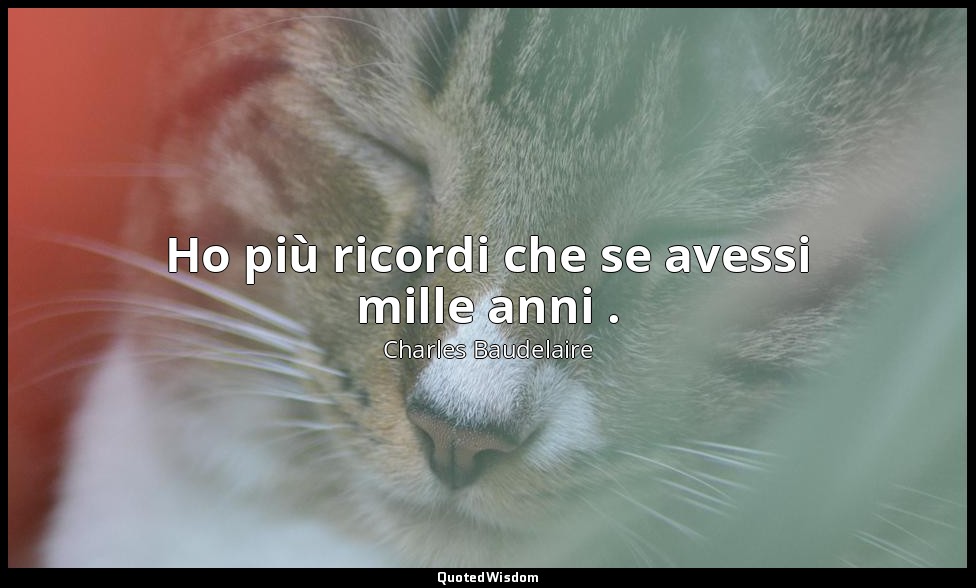Ho più ricordi che se avessi mille anni . — Charles Baudelaire