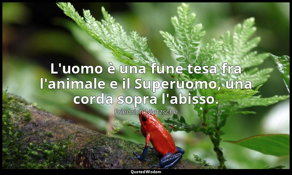 L'uomo è una fune tesa fra l'animale e il Superuomo, una corda sopra l'abisso. — Friedrich Nietzsche