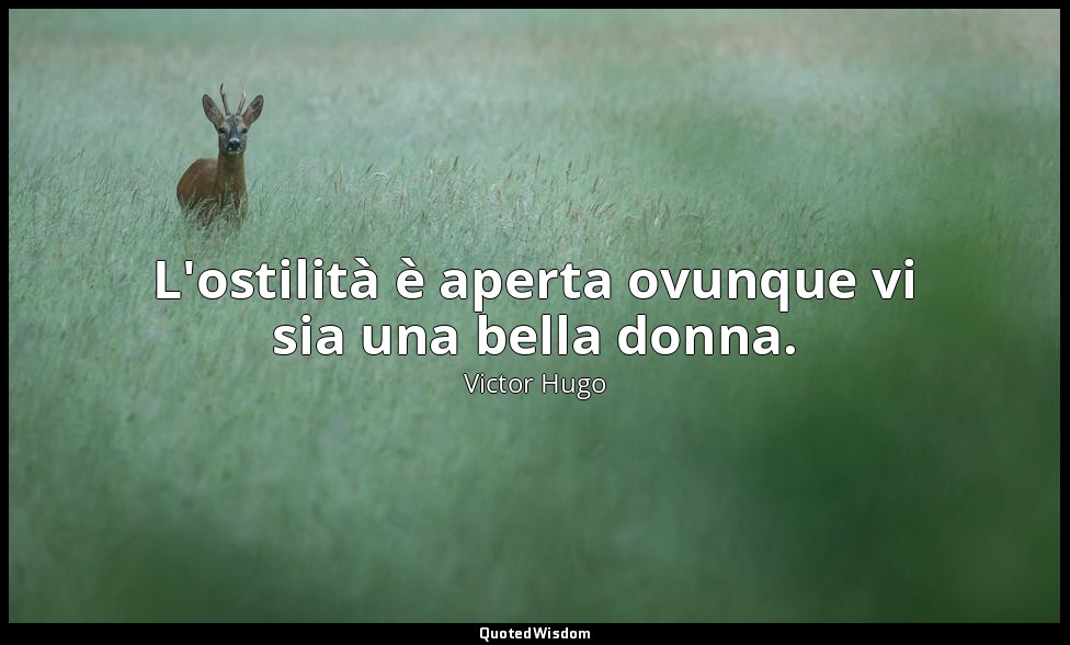L'ostilità è aperta ovunque vi sia una bella donna. (vol. I, 1862, p. 176) — Victor Hugo