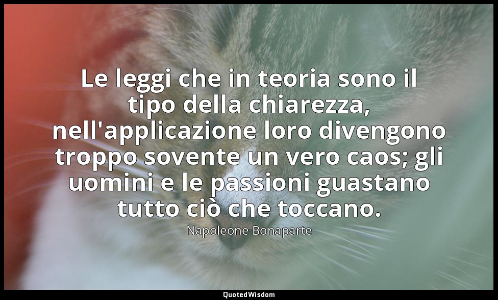 Le leggi che in teoria sono il tipo della chiarezza, nell'applicazione loro dive — Napoleone Bonaparte