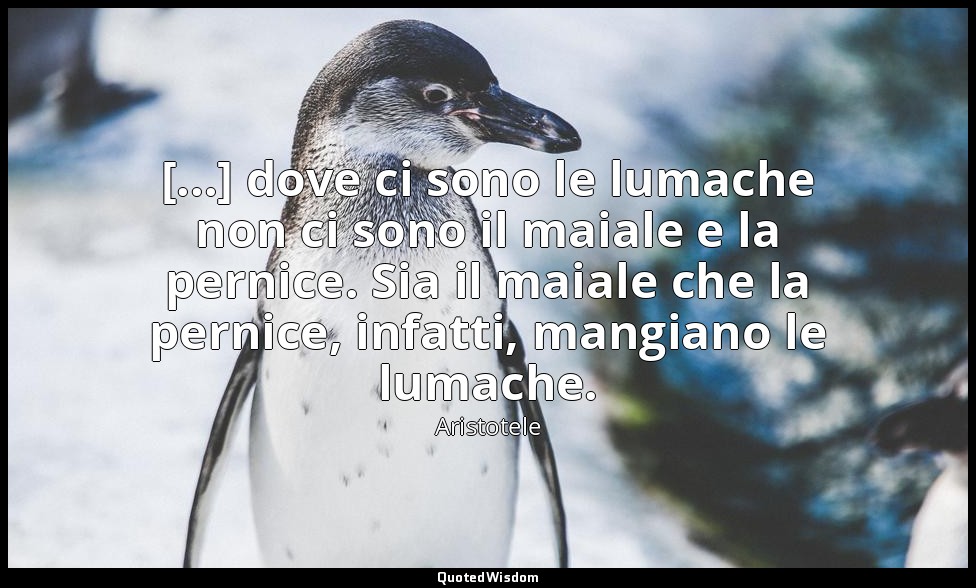 [...] dove ci sono le lumache non ci sono il maiale e la pernice. Sia il maiale  — Aristotele