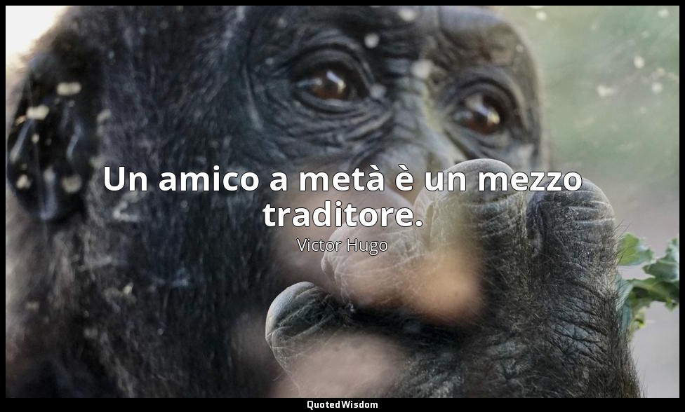 Un amico a metà è un mezzo traditore. — Victor Hugo