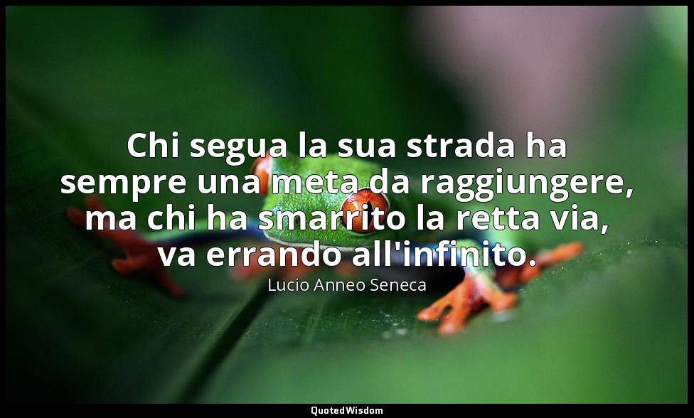 Chi segua la sua strada ha sempre una meta da raggiungere, ma chi ha smarrito la — Lucio Anneo Seneca