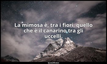 La mimosa è, tra i fiori, quello che è il canarino tra gli uccelli. (20 febbraio — Jules Renard