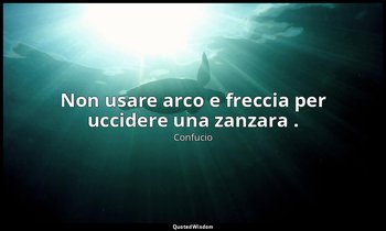 Non usare arco e freccia per uccidere una zanzara . — Confucio
