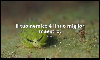Il tuo nemico è il tuo miglior maestro. — Laozi