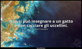 Non si può insegnare a un gatto a non cacciare gli uccellini. — Albert Einstein