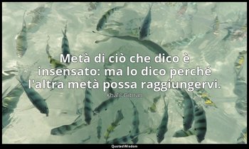 Metà di ciò che dico è insensato: ma lo dico perché l'altra metà possa raggiunge — Khalil Gibran