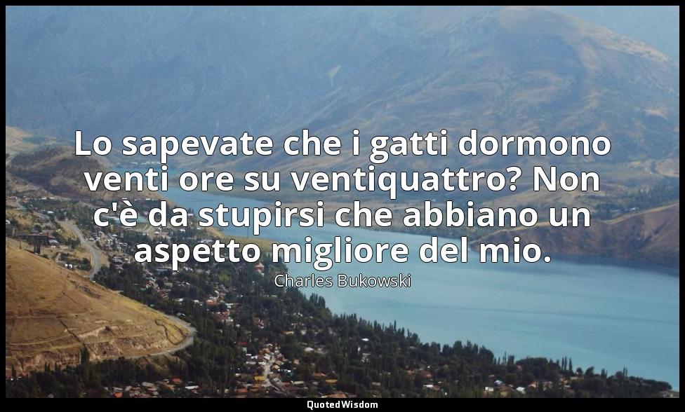 Lo sapevate che i gatti dormono venti ore su ventiquattro? Non c'è da stupirsi c — Charles Bukowski