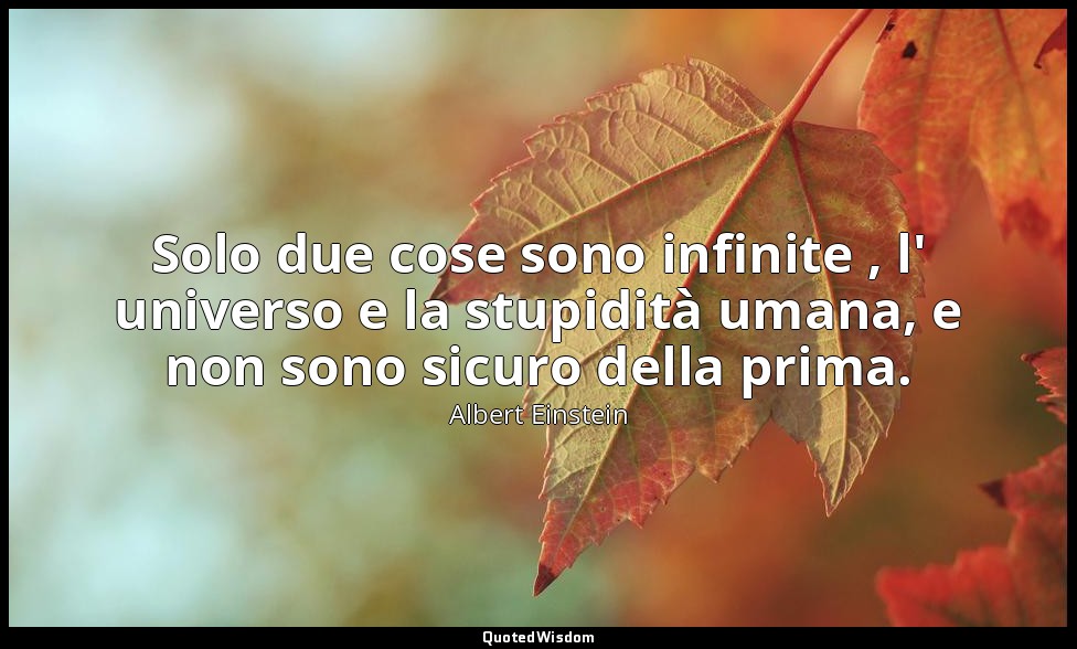 Solo due cose sono infinite , l' universo e la stupidità umana, e non sono sicur — Albert Einstein