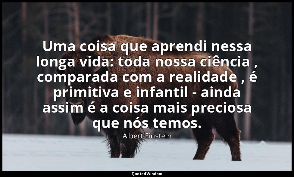 Uma coisa que aprendi nessa longa vida: toda nossa ciência , comparada com a rea — Albert Einstein