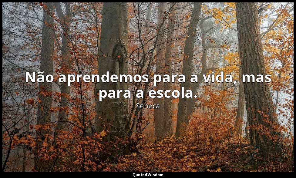 Não aprendemos para a vida, mas para a escola. — Séneca