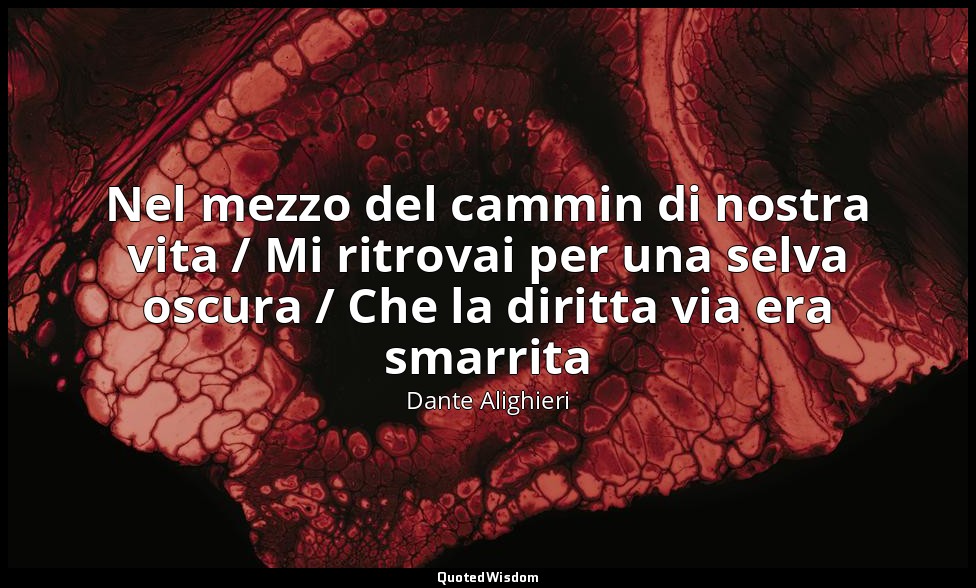 Nel mezzo del cammin di nostra vita / Mi ritrovai per una selva oscura / Che la  — Dante Alighieri