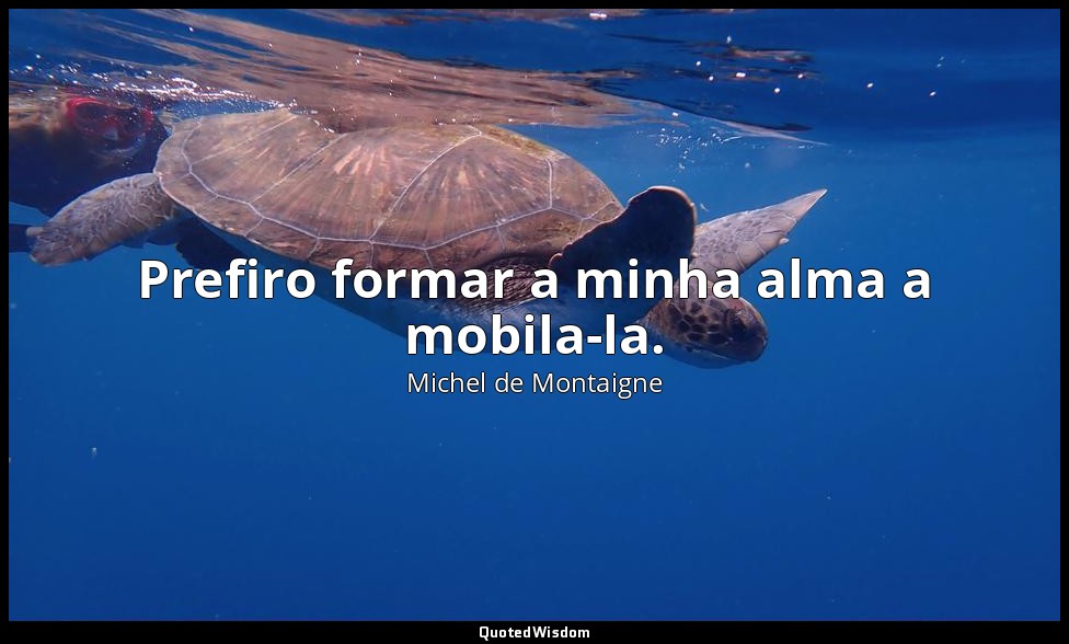 Prefiro formar a minha alma a mobila-la. — Michel de Montaigne