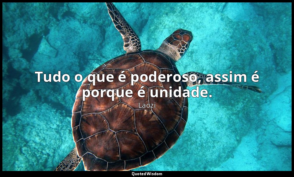 Tudo o que é poderoso, assim é porque é unidade. — Laozi