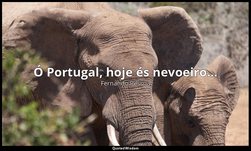Ó Portugal, hoje és nevoeiro... — Fernando Pessoa