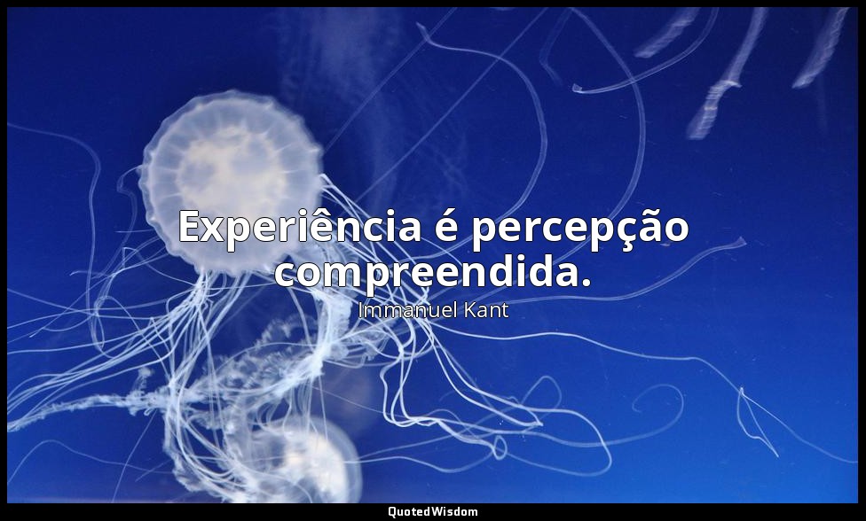 Experiência é percepção compreendida. — Immanuel Kant