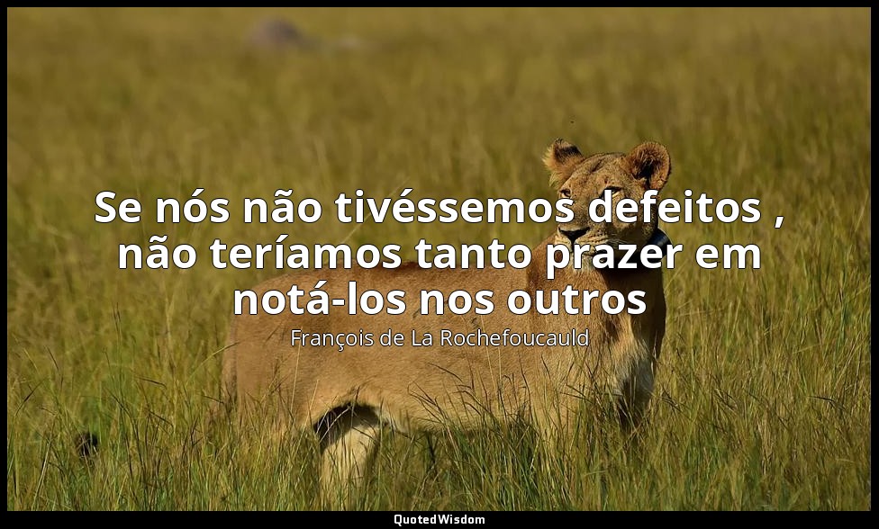 Se nós não tivéssemos defeitos , não teríamos tanto prazer em notá-los nos outro — François de La Rochefoucauld