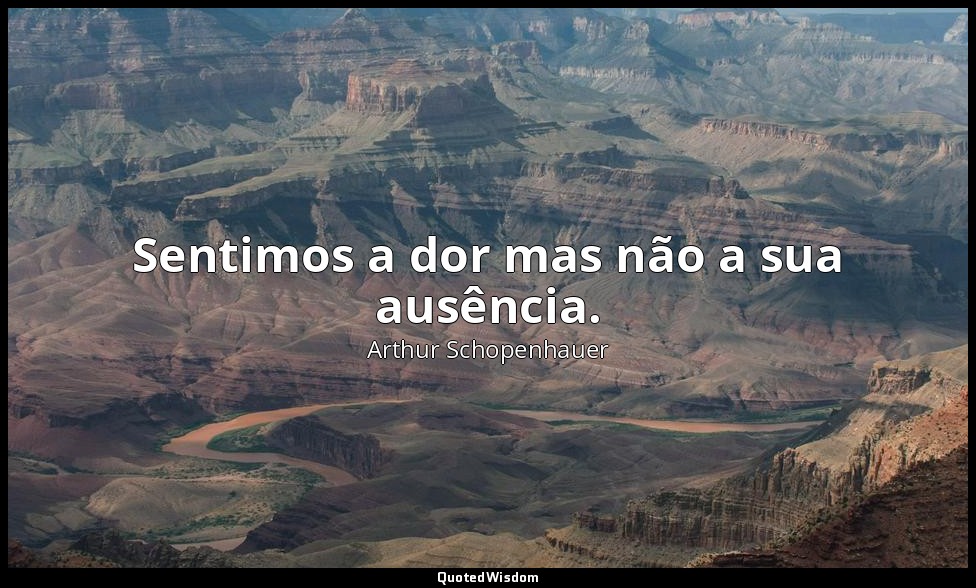Sentimos a dor mas não a sua ausência. — Arthur Schopenhauer