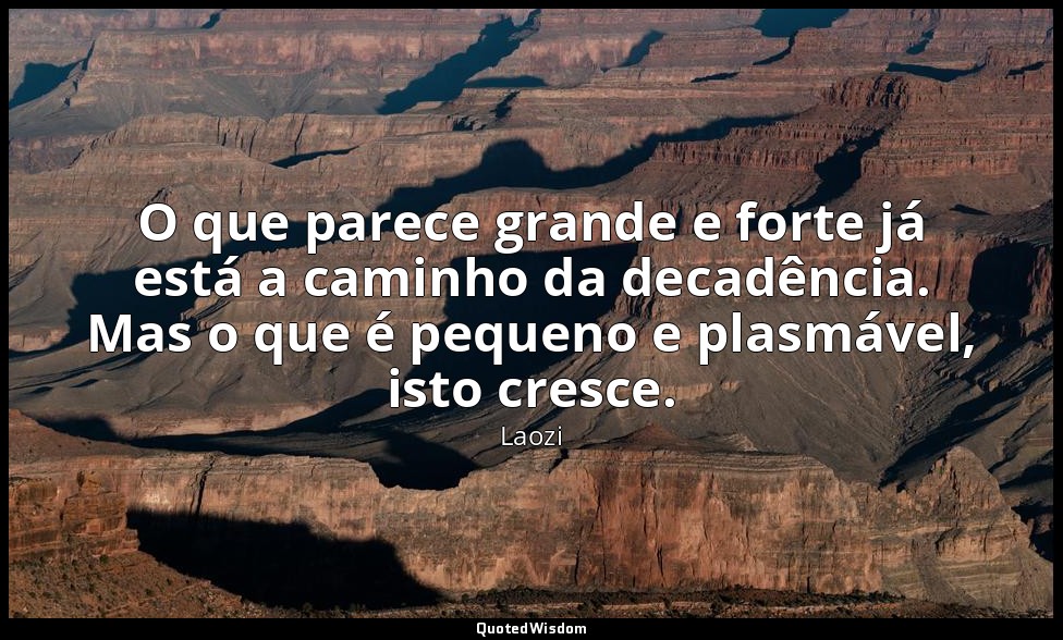 O que parece grande e forte já está a caminho da decadência. Mas o que é pequeno — Laozi