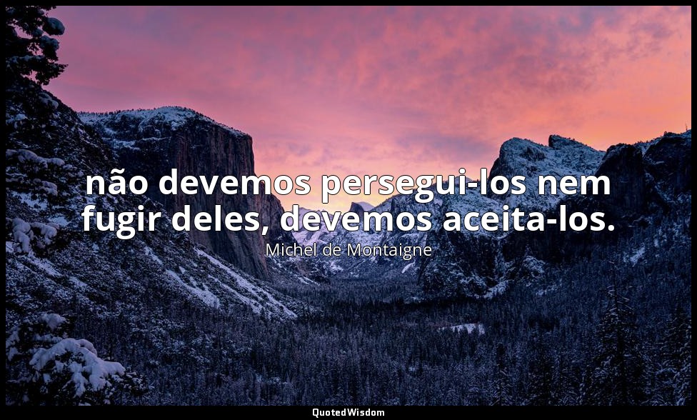não devemos persegui-los nem fugir deles, devemos aceita-los. — Michel de Montaigne