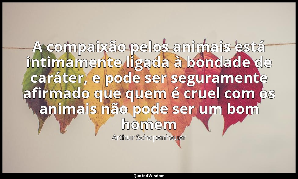 A compaixão pelos animais está intimamente ligada à bondade de caráter, e pode s — Arthur Schopenhauer