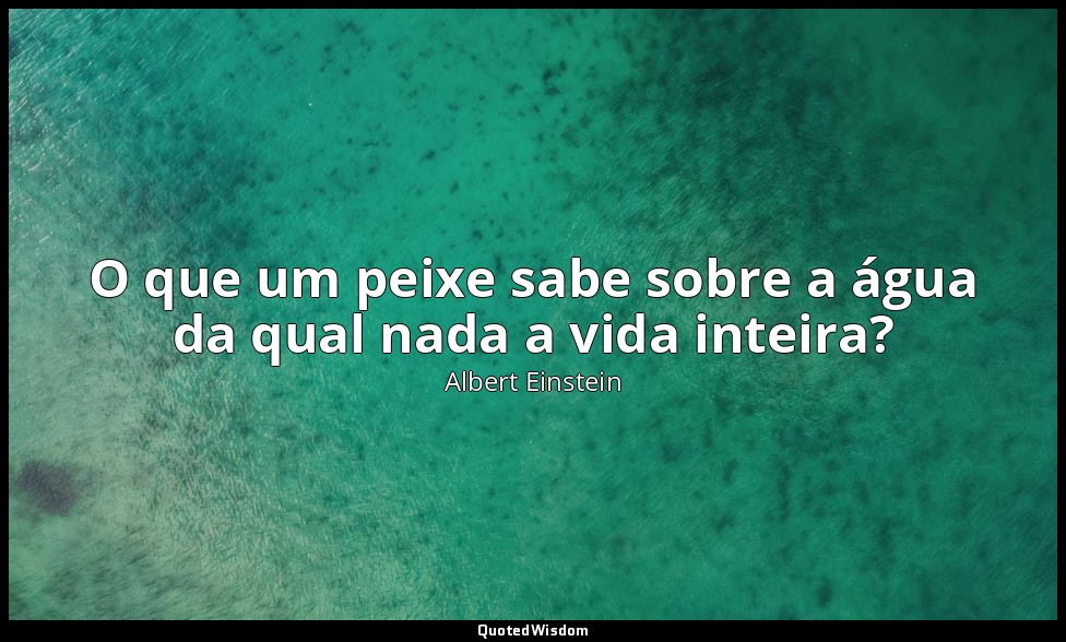 O que um peixe sabe sobre a água da qual nada a vida inteira? — Albert Einstein