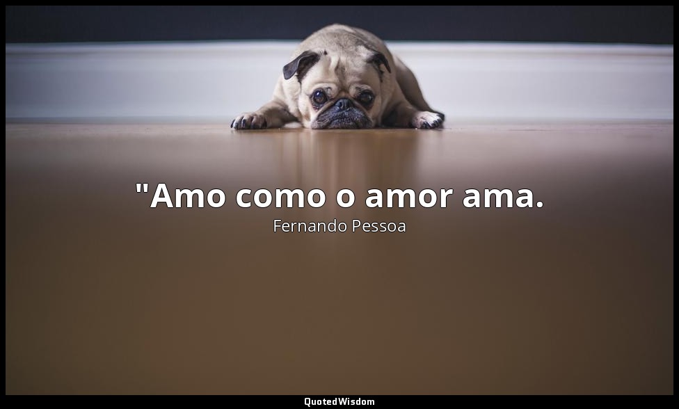 "Amo como o amor ama. — Fernando Pessoa