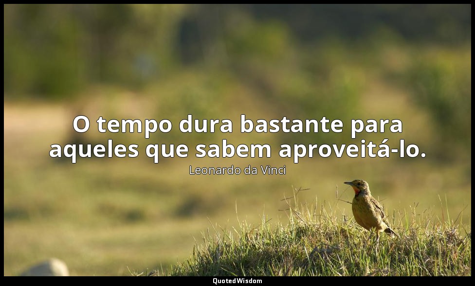 O tempo dura bastante para aqueles que sabem aproveitá-lo. — Leonardo da Vinci