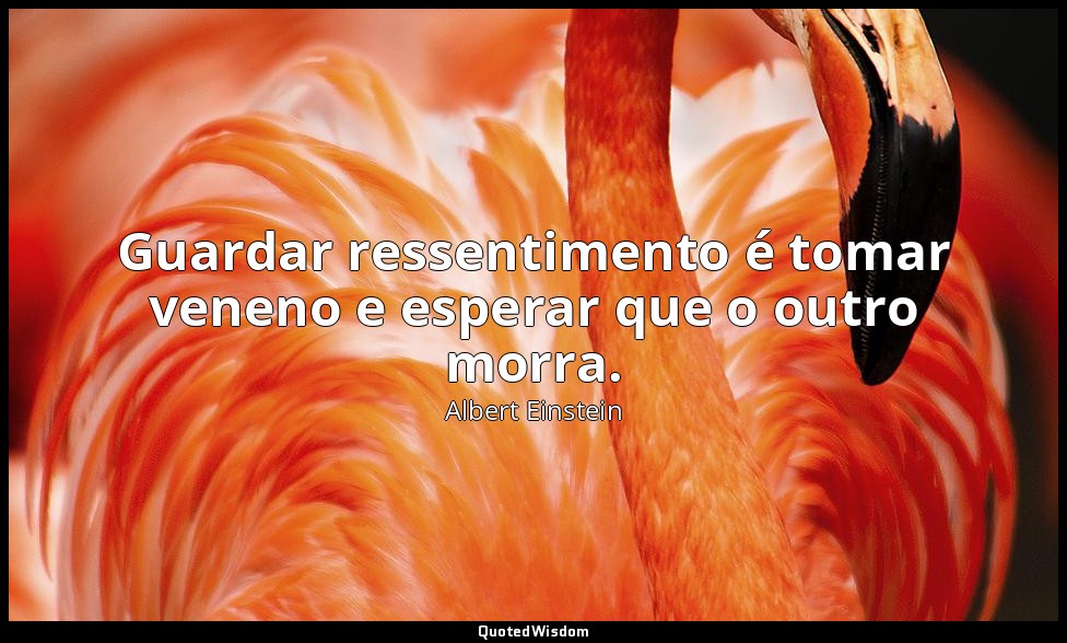 Guardar ressentimento é tomar veneno e esperar que o outro morra. — Albert Einstein