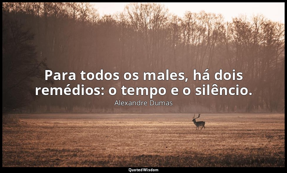 Para todos os males, há dois remédios: o tempo e o silêncio. — Alexandre Dumas