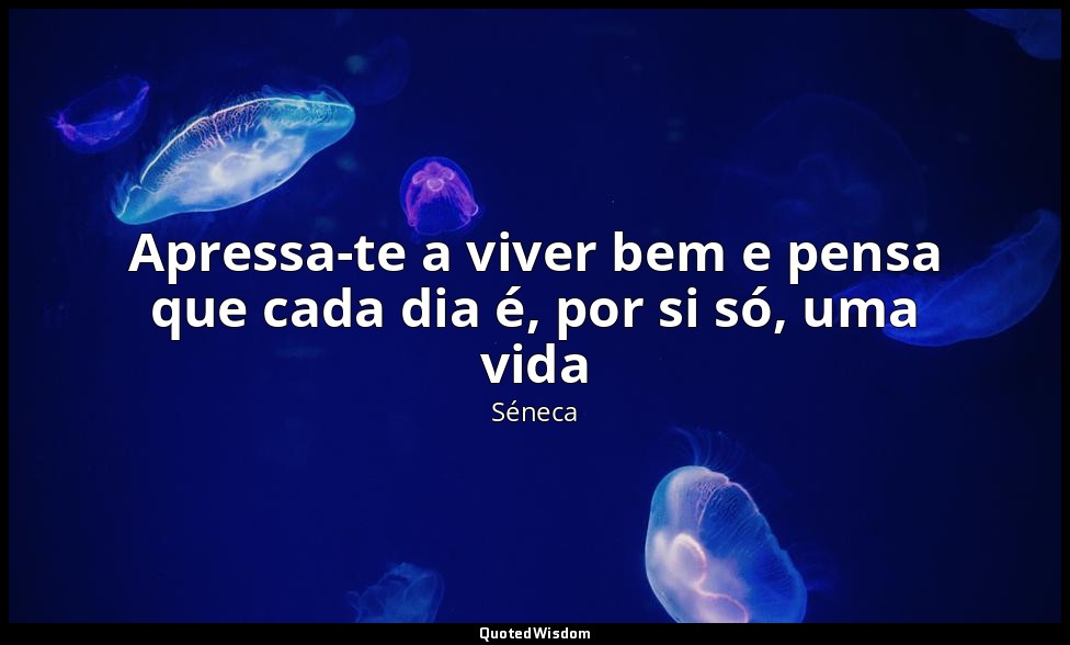 Apressa-te a viver bem e pensa que cada dia é, por si só, uma vida — Séneca