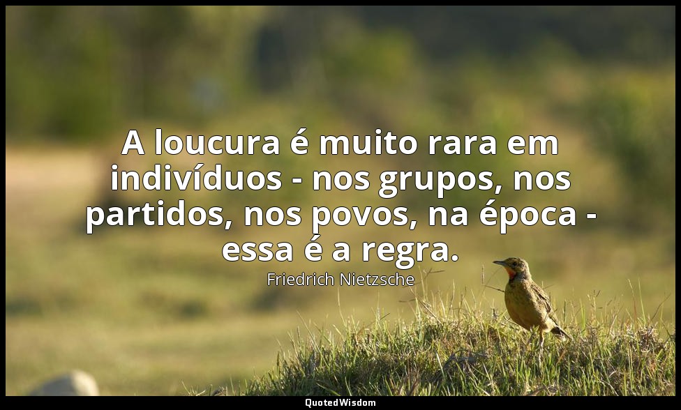 A loucura é muito rara em indivíduos - nos grupos, nos partidos, nos povos, na é — Friedrich Nietzsche