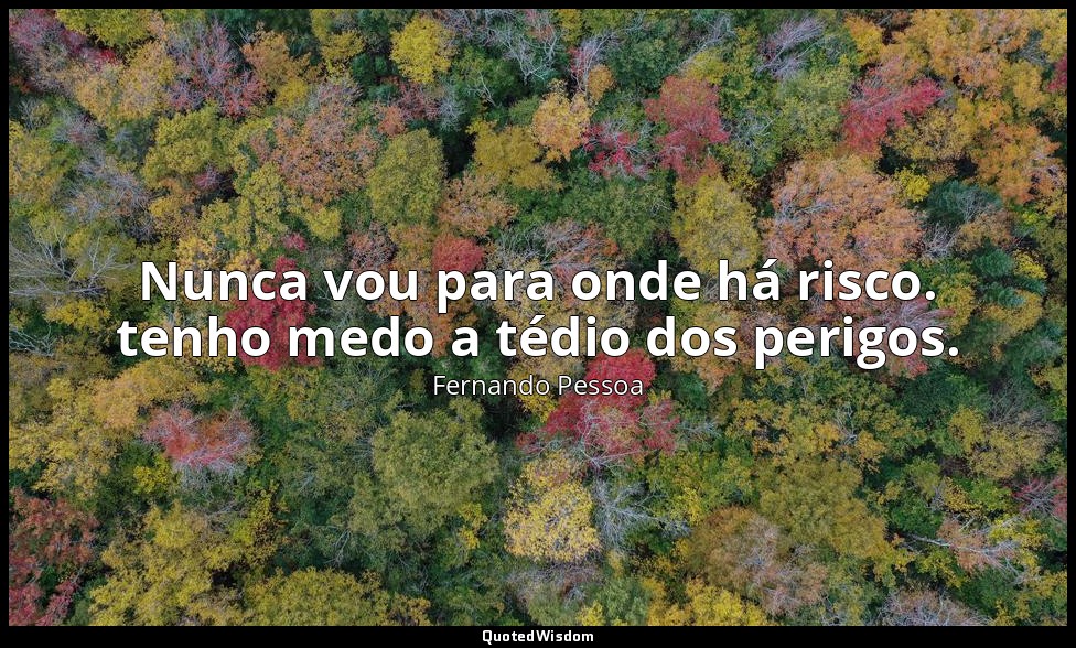 Nunca vou para onde há risco. tenho medo a tédio dos perigos. — Fernando Pessoa