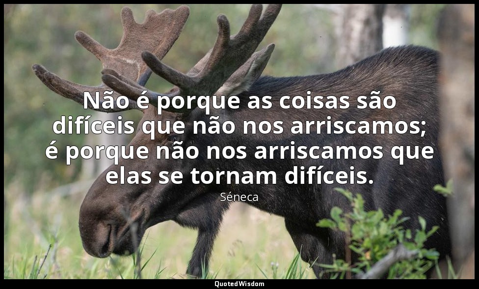 Não é porque as coisas são difíceis que não nos arriscamos; é porque não nos arr — Séneca