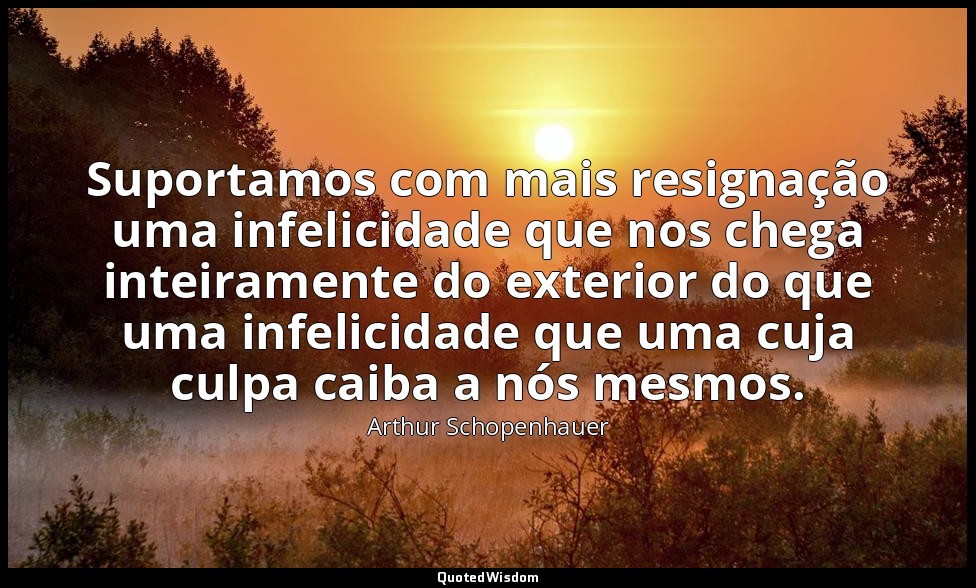 Suportamos com mais resignação uma infelicidade que nos chega inteiramente do ex — Arthur Schopenhauer