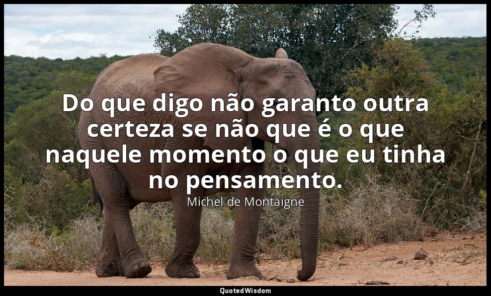 Do que digo não garanto outra certeza se não que é o que naquele momento o que e — Michel de Montaigne